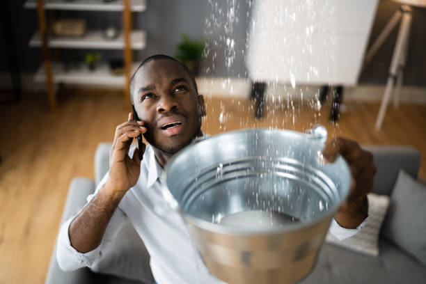 Best Flood restoration services  in Louisiana, MO