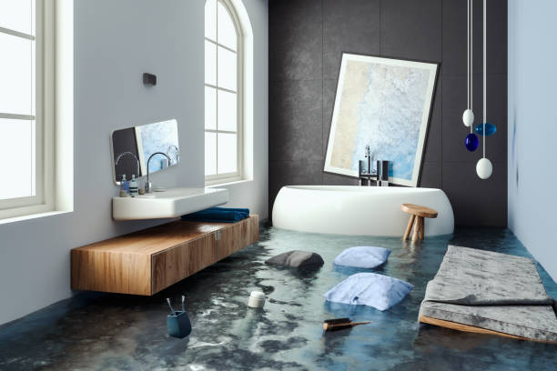 Best Water damage repair service  in Louisiana, MO