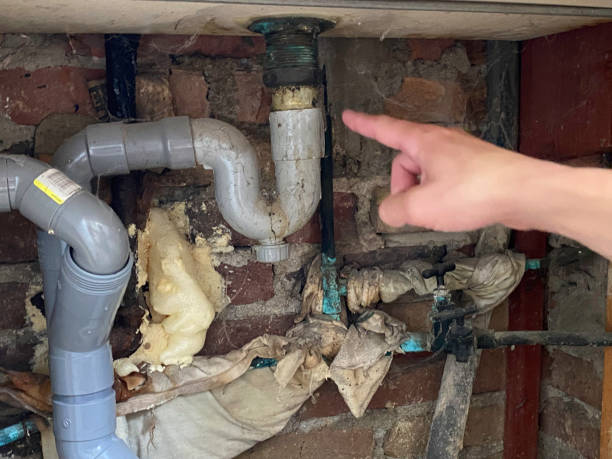 Best Ceiling water damage repair  in Louisiana, MO