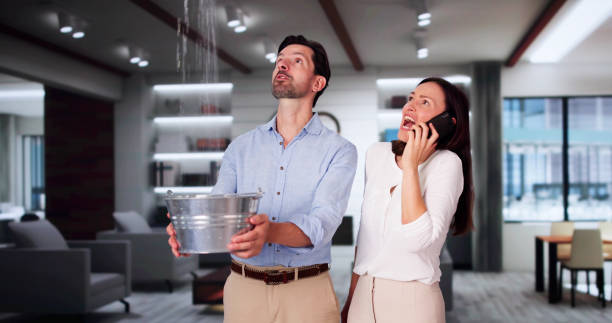 Best Sewage cleanup and water damage restoration  in Louisiana, MO